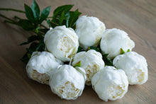 Load image into Gallery viewer, Peony, peonies bouquet, flowers, silk, white peony, artificial flowers, flower delivery, gifting, gifting service, large box, gold, luxury, high end, chic, luxurious, collection, boutique, natural fibre, high quality, hand made, craftsmanship, silk flowers, gift, irish company, luxury gifting