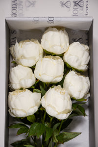 Peony, peonies bouquet, flowers, silk, white peony, artificial flowers, flower delivery, gifting, gifting service, large box, gold, luxury, high end, chic, luxurious, collection, boutique, natural fibre, high quality, hand made, craftsmanship, silk flowers, gift, irish company, luxury gifting
