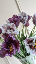 Load image into Gallery viewer, Periwinkle Parrot Tulips