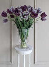 Load image into Gallery viewer, Periwinkle Parrot Tulips