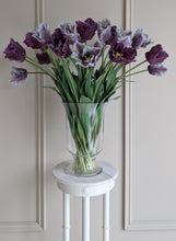Load image into Gallery viewer, Periwinkle Parrot Tulips