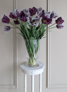 Periwinkle Parrot Tulips