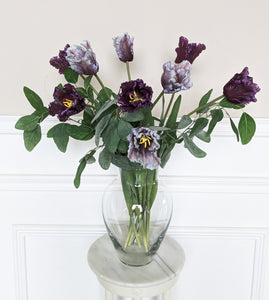 Periwinkle Parrot Tulips