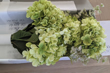 Load image into Gallery viewer, Pistachio Hydrangea Bouquet